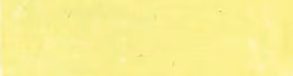 Pale Yellow