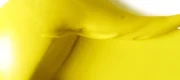 Yellow Light Hansa