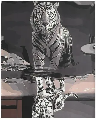 Tigre - Tela Numerada