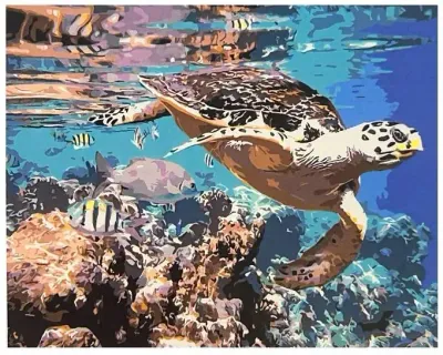 Tartaruga Marinha - Tela Numerada
