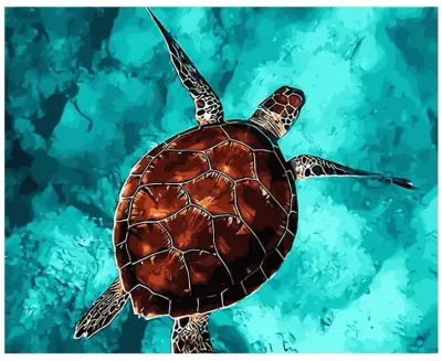 Turtle - Tela Numerada