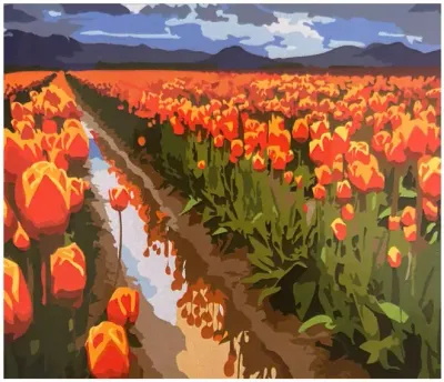 Campo de Tulipas - Tela Numerada