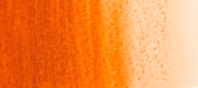 Burnt Orange